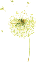 113A